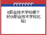 it职业技术学校哪个好(it职业技术学校比较)