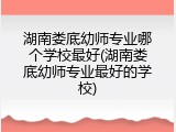 湖南娄底幼师专业哪个学校最好(湖南娄底幼师专业最好的学校)