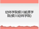 幼师学院银川能源学院(银川幼师学院)