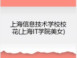 上海信息技术学校校花(上海IT学院美女)