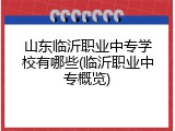 山东临沂职业中专学校有哪些(临沂职业中专概览)