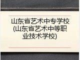 山东省艺术中专学校(山东省艺术中等职业技术学校)