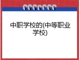中职学校的(中等职业学校)
