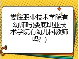 娄底职业技术学院有幼师吗(娄底职业技术学院有幼儿园教师吗？)