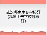 武汉哪家中专学校好(武汉中专学校哪家好)