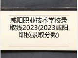咸阳职业技术学校录取线2023(2023咸阳职校录取分数)
