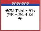 武冈市职业中专学校(武冈市职业技术中专)
