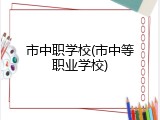 市中职学校(市中等职业学校)