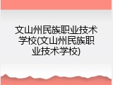 文山州民族职业技术学校(文山州民族职业技术学校)