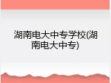 湖南电大中专学校(湖南电大中专)