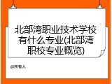 北部湾职业技术学校有什么专业(北部湾职校专业概览)