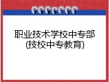 职业技术学校中专部(技校中专教育)