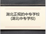 湖北正规的中专学校(湖北中专学校)