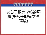 老台子职高学校的环境(老台子职高学校环境)