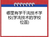 哪里有学干洗技术学校(学洗技术的学校位置)