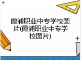 霞浦职业中专学校图片(霞浦职业中专学校图片)