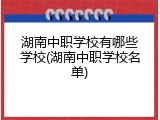 湖南中职学校有哪些学校(湖南中职学校名单)