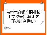 乌鲁木齐哪个职业技术学校好(乌鲁木齐职校排名推荐)