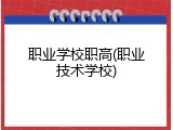 职业学校职高(职业技术学校)