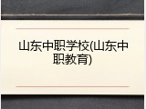 山东中职学校(山东中职教育)