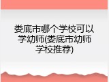 娄底市哪个学校可以学幼师(娄底市幼师学校推荐)