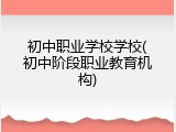 初中职业学校学校(初中阶段职业教育机构)