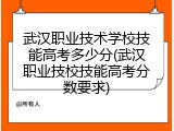 武汉职业技术学校技能高考多少分(武汉职业技校技能高考分数要求)