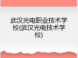 武汉光电职业技术学校(武汉光电技术学校)