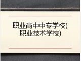 职业高中中专学校(职业技术学校)