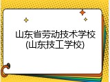 山东省劳动技术学校(山东技工学校)