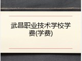 武昌职业技术学校学费(学费)