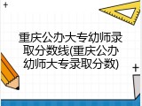 重庆公办大专幼师录取分数线(重庆公办幼师大专录取分数)