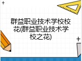 群益职业技术学校校花(群益职业技术学校之花)