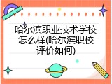 哈尔滨职业技术学校怎么样(哈尔滨职校评价如何)