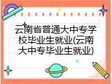 云南省普通大中专学校毕业生就业(云南大中专毕业生就业)