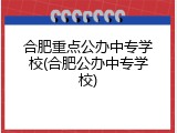 合肥重点公办中专学校(合肥公办中专学校)