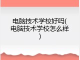 电脑技术学校好吗(电脑技术学校怎么样)