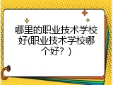 哪里的职业技术学校好(职业技术学校哪个好？)
