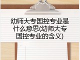 幼师大专国控专业是什么意思(幼师大专国控专业的含义)