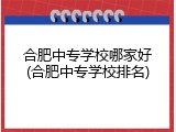 合肥中专学校哪家好(合肥中专学校排名)