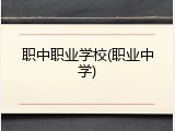 职中职业学校(职业中学)