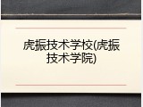 虎振技术学校(虎振技术学院)