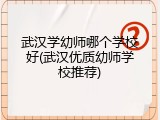 武汉学幼师哪个学校好(武汉优质幼师学校推荐)