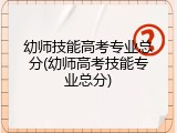 幼师技能高考专业总分(幼师高考技能专业总分)