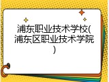 浦东职业技术学校(浦东区职业技术学院)