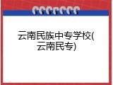 云南民族中专学校(云南民专)