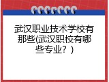 武汉职业技术学校有那些(武汉职校有哪些专业？)