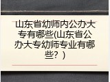 山东省幼师内公办大专有哪些(山东省公办大专幼师专业有哪些？)
