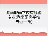 湖南职高学校有哪些专业(湖南职高学校专业一览)