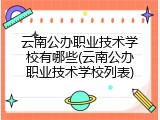 云南公办职业技术学校有哪些(云南公办职业技术学校列表)